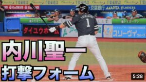 内川聖一 バッティングフォーム【ホークス】