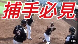 捕手の足の運び、握り替えが分かるスローイング集！サムネは甲斐選手！