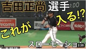 【2020年】吉田正尚選手 スイング 横から【スローモーション】